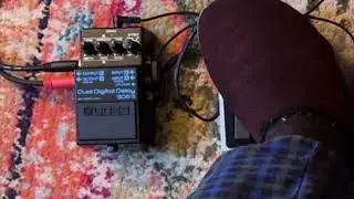 Boss SDE-3 with FS-7 foot switch