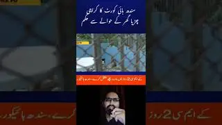 Sindh High Court Orders Transfer of Zoo Bear