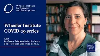 The impact of Covid-19 in capital flows and emerging markets | COVID-19 Series | LBS