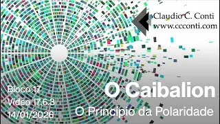 17.6.3 O Princípio da Polaridade