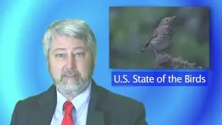BNN: State of the Birds Finds Species Imperiled