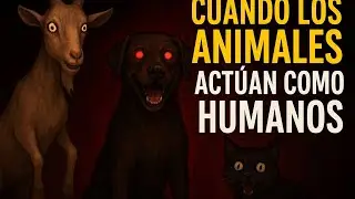 CUANDO LOS ANIMALES ACT&Uacute;AN COMO HUMANOS (relatos basados en hechos reales)