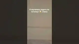 неправда