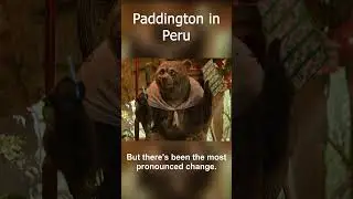 Paddington in Peru 2024 Part 3 | #trailer #paddington #bear #film #paddingtonbear #peru #per&uacute;