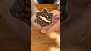 Ce iese dacă macini cafeaua &icirc;n blender? ☕🤔