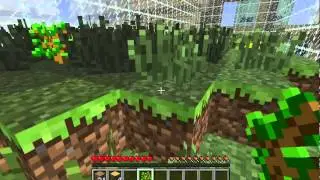 Minecraft - ANT FARM SURVIVAL