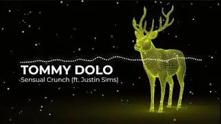 Tommy Dolo - Sensual Crunch [ft. Justin Sims] (Official Visualizer)