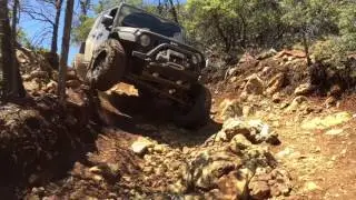 Cow mountain 2016