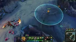teemo annoying doggo and fishsticks