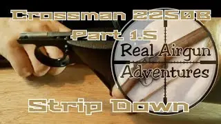 Crossman 2250 Утечка газа, часть 1.5 Разборка