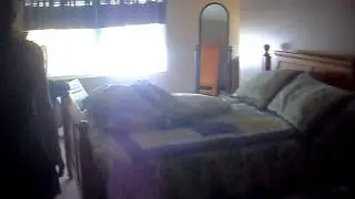 SDC11910