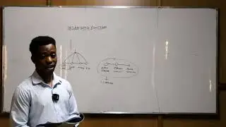 LM ORGANIZING FUNCTION
