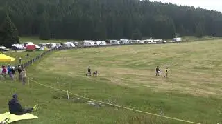 Syn at FCI European Coursing Championships 2014 - first race