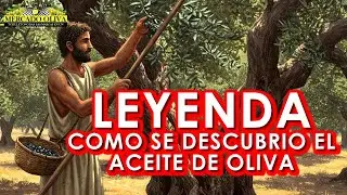 LEYENDA ¿Cómo Se Descubrió el Aceite de Oliva? - MERCADO OLIVA