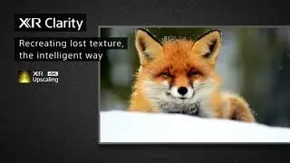 【Archive】Sony BRAVIA 2020年モデル X95H/XH95 A8H/A8 X95J A80J Series