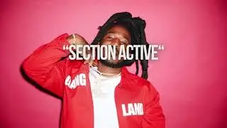 [FREE] Mozzy X Stupid Young X Saviii 3rd Type Beat 2026-Section Active