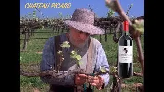 Chateau Picard - Wine Commercial