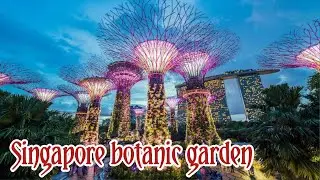 Singapore botanic garden at night।। Famous light show ।। Singapore tour ☺️
