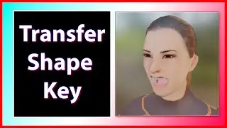 🔥Makehuman a Blender en Escala y Armadura Correcta 🔁 Transfer Shape Key