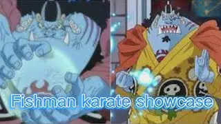 Fishman Karate showcase￼