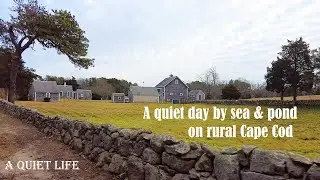 A quiet Cape Cod Pond | living a quiet life | Seaside cottage living