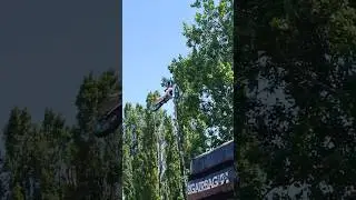 Libor Podmol🇨🇿Harley Davidson FMX Show Ostrava 2024 #liborpodmol #fmx #freestylemotocross #czechfmx