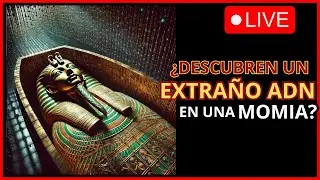 Noticias | DESCUBRIMIENTOS en EGIPTO (3)  Encuentran un busto de Cleopatra VII.