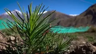 Georgia: the world&rsquo;s first carbon neutral hydropower project