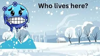 Who Lives Where? | Animal Homes and Habitats for Kids