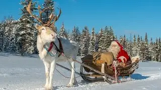 Pello - Joulupukin poromailla - Lappi - Joulupukki ja porot - Ritavaara