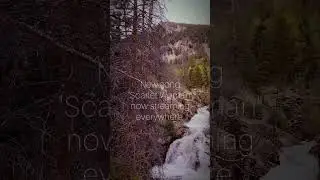 Christian Roberts - Scarlet Woman #music #new #singer #guitar #chill #viral #art