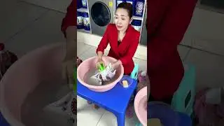 ការកម្ចាត់ស្នាមប្រឡាក់ដោយប្រើសាប៊ូដុំ