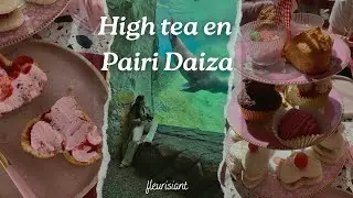 High Tea bij Mooy Bakery, Levensupdate & Een Dagje Pairi Daiza