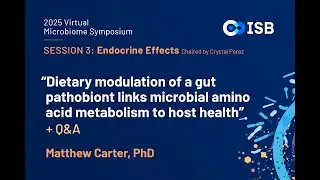 Vegan Diet, Gut Microbiome, and Metabolic Health: The Bilophila&ndash;Glycine Link