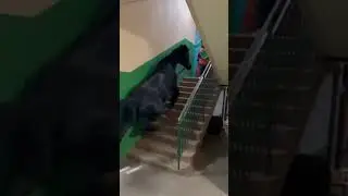 Как заработать 150к+ на таких видео👆🏻 рассказываю в тгк: ksuall099