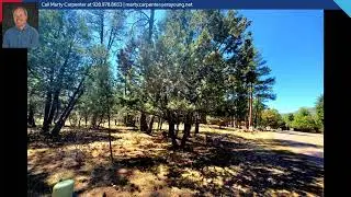 87 N Mistletoe Drive, Pine, AZ 85544