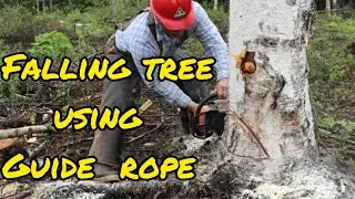 Off grid tree falling with rope guide