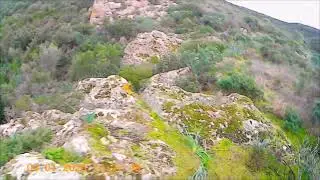 Caccia al cinghiale in Sardegna (Villaperuccio) 04-01-26