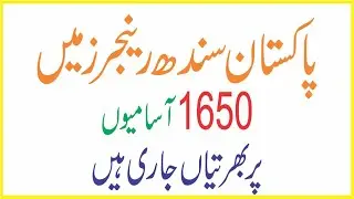 Jobs in Pakistan Sindh Rangers Feb 2020