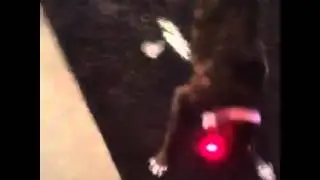 Clever Vines 2