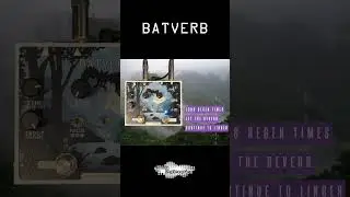 Batverb stereo reverb pedal | Noise Engineering #guitarpedals