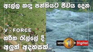 ඇල්ල කඳු පන්තියට ජීවය දෙන V - Force හරිත රැල්ලේ දී අලුත් අදහසක්..