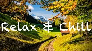 Relax & Chill - Chillmode - Relaxingmusic