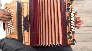 Ziachfuchs  ,,Böhmische Polka 1''