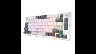 RK H81 Mechanical Keyboard Sound Test