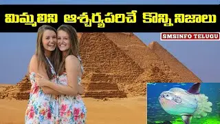 Interesting Facts in Telugu | Unknown and Amazing Facts in Telugu I #Pyramids #smsinfotelugu #facts