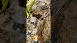 Happy Waterfall Wednesday! #waterfall #waterfalls #aquascape#beautiful #contractor #landscape