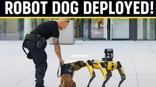 Chaos at Texas Mall: Police Deploy ROBOT DOG in Emergency Operation! 