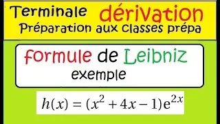 Approfondissement Term Sp&eacute; Maths formule de leibniz Application exemple