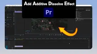 How to Add Additive Dissolve Effect on Premiere Pro [NEW]